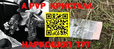 стаф Берёзовский
