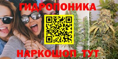 PSILOCYBIN Бийск