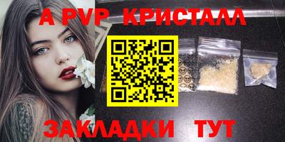 стаф Берёзовский