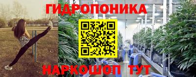 PSILOCYBIN Бийск